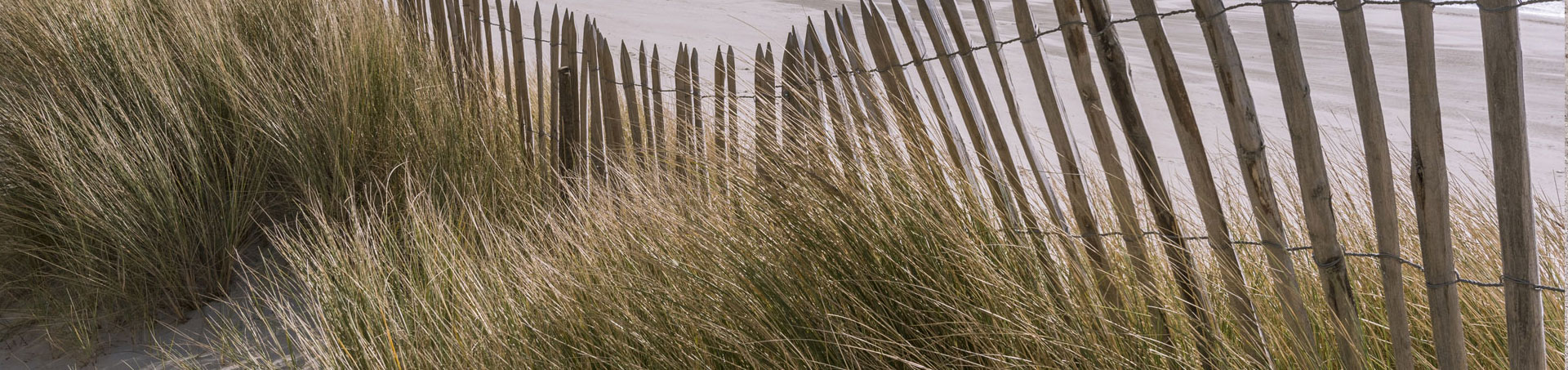 Les Saintes Maries de la Mer