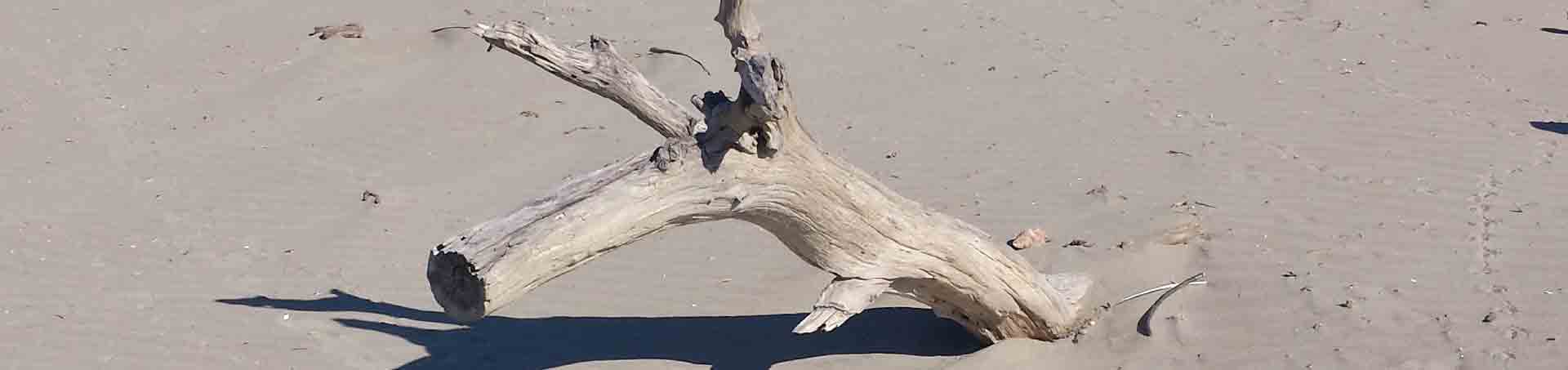 Les Saintes Maries de la Mer